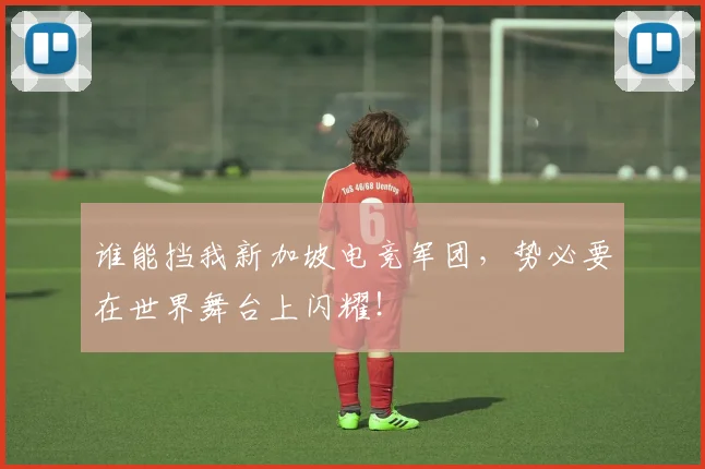谁能挡我新加坡电竞军团，势必要在世界舞台上闪耀！